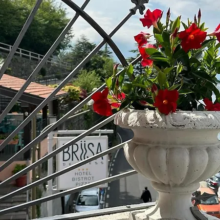 酒店 Briisa De Ness 内索