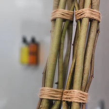 Briisa De Ness 酒店 内索