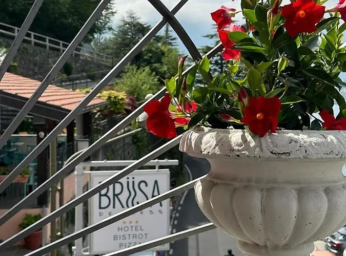 酒店 Briisa De Ness 内索